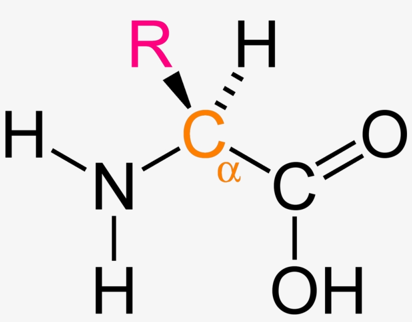 Alpha Amino Ac - N -( Phosphonomethyl Iminodiacetic Acid, transparent png download