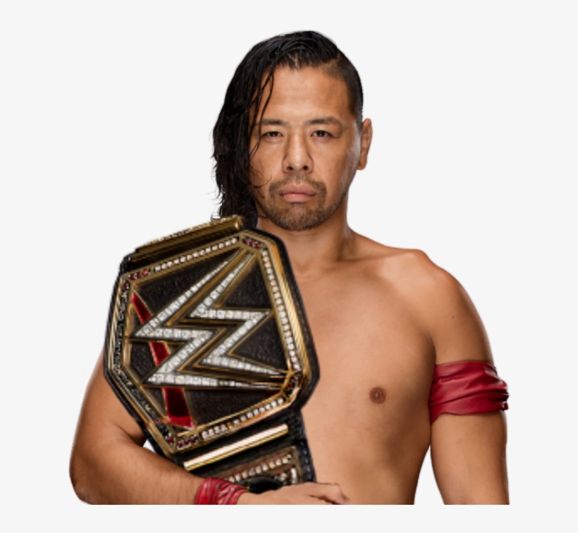 Apologize - Wwe Superstars With Championships, transparent png download