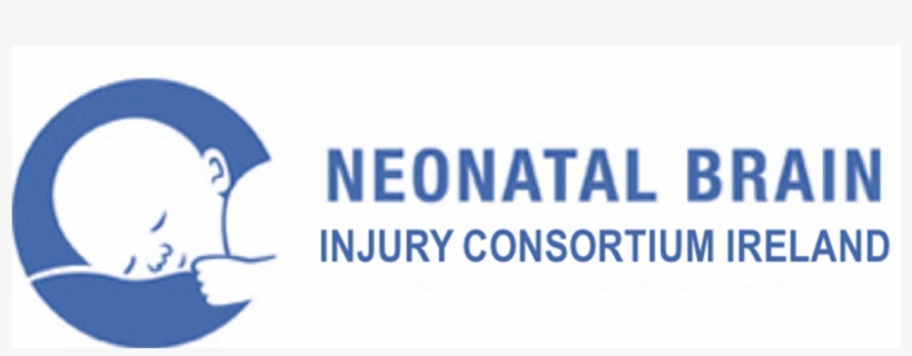 Phd Scholarship Opportunities Hrb Neonatal Encephalopathy - Neonatal Brain Injury Consortium Ireland, transparent png download