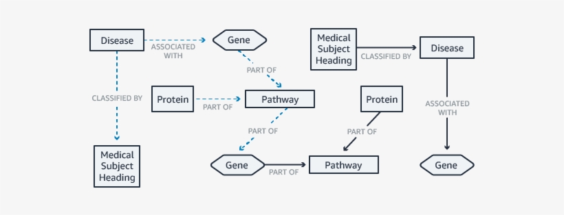 Neptune Diagram Life Sciences - Biology, transparent png download
