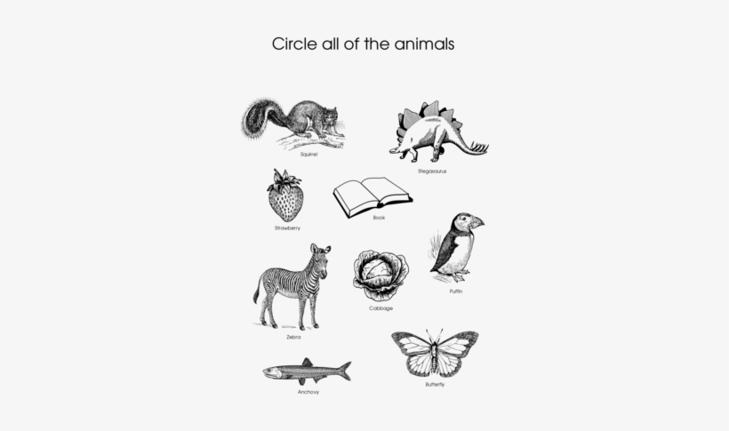 Click To See Printable Version Of Circle All Of The - Dinosaur Sketch Book (elite Journal), transparent png download