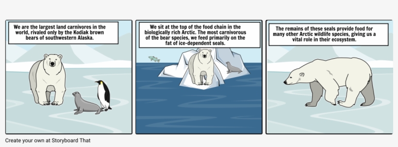 Bears - Cartoon, transparent png download