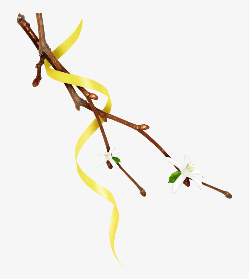 Mq Twig Twigs Leafs Leaf Leaves Nature Yellow - Twig, transparent png download