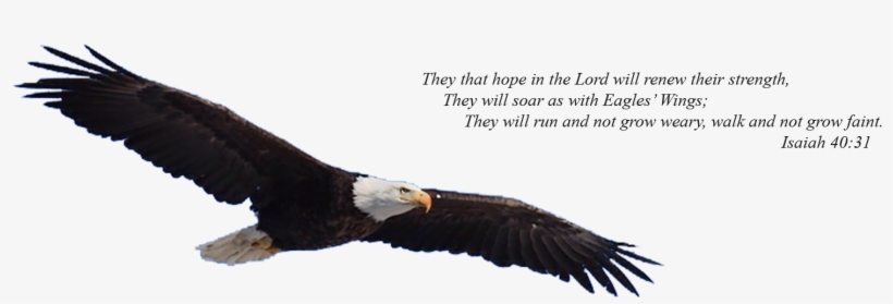 Christian Counseling * Spiritual Direction * Retreats - Eagles Wings, transparent png download