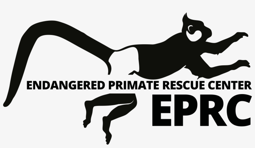 We Are Looking For A General Coordinator - Endangered Primate Rescue Center, transparent png download