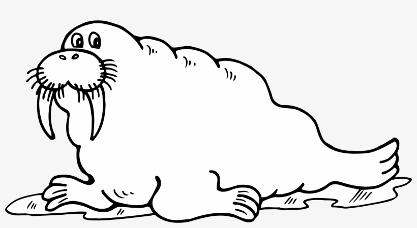 Walrus Png, transparent png download