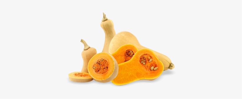 Dynia Butternut Świeża Bio (polska) Ok. 1 Kg, transparent png download