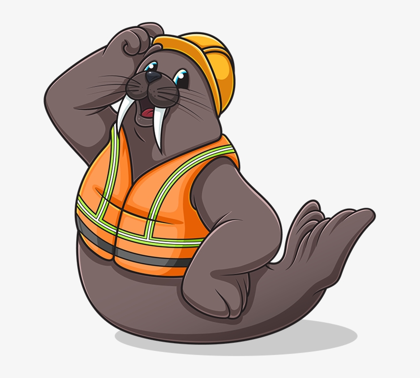 Watson The Walrus - Direct Star, transparent png download