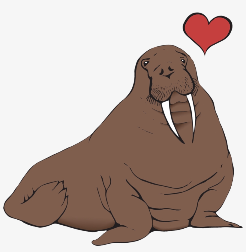 Walrus, transparent png download