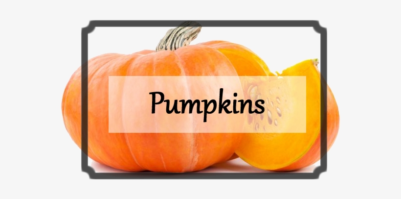 Calabaza - Product, transparent png download