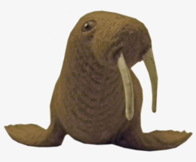 Free Png Walrus Png Images Transparent - Portable Network Graphics, transparent png download