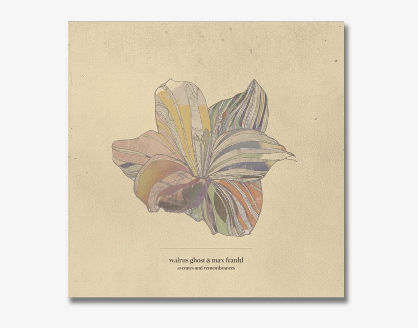 Walrus-max - Avenues And Remembrances, transparent png download