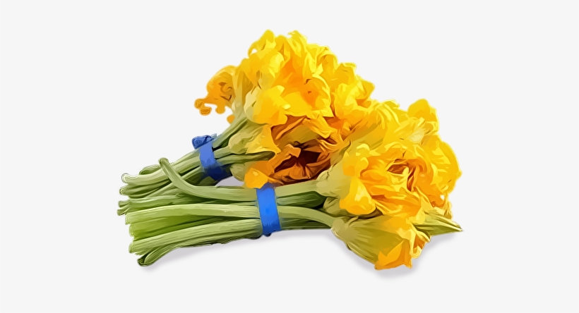 Flor De Calabaza, - Bouquet, transparent png download