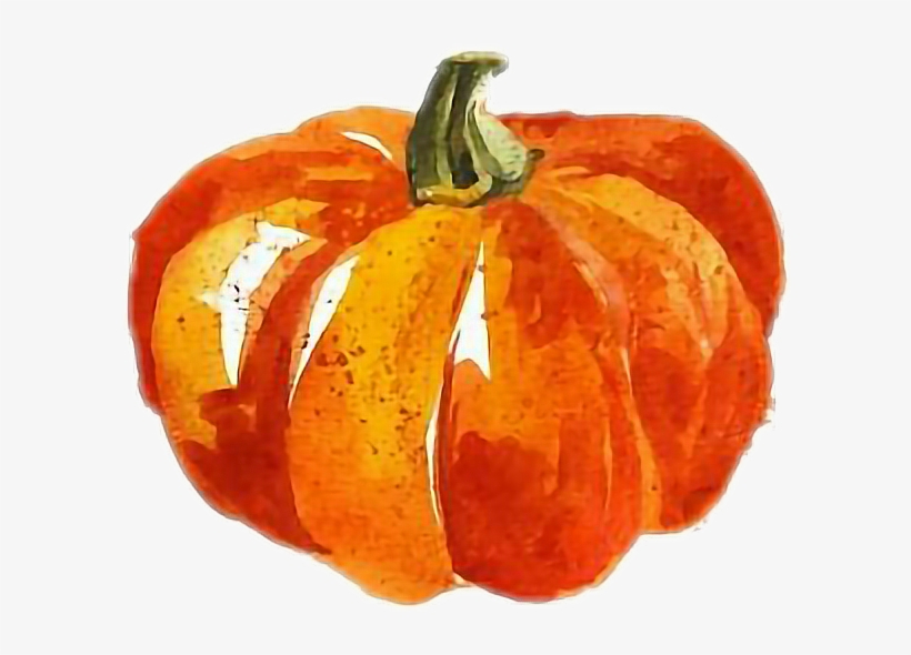 Cute Pumpkin Watercolor, transparent png download