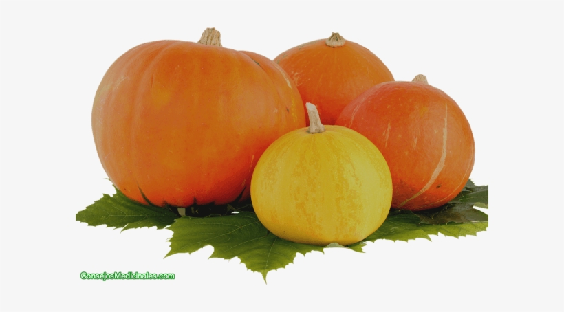 Beneficios De La Calabaza O Auyama - Тыквы Пнг, transparent png download