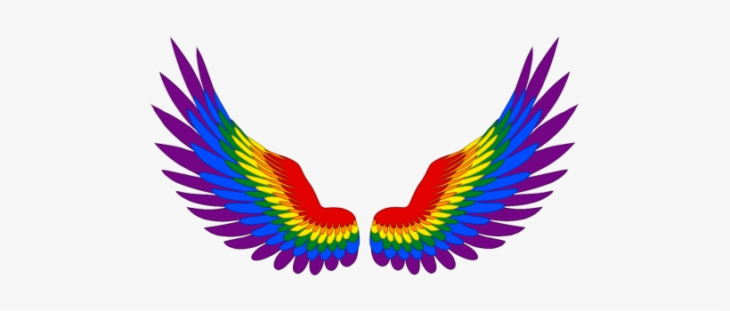 10 - Baracuda Pool Cleaner Nz, transparent png download