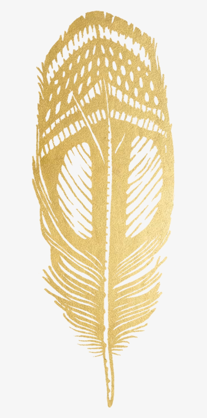 Quail Feather - Feather Gold, transparent png download
