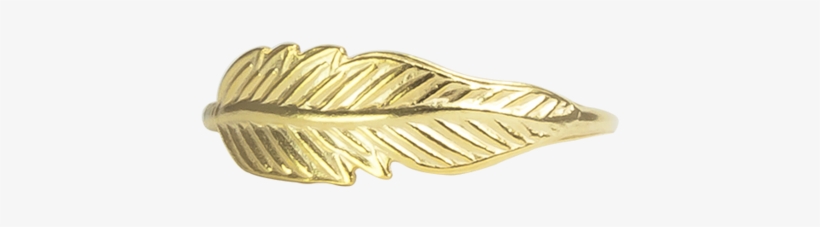 Gold Feather Ring - Gold Png Feather Designs, transparent png download