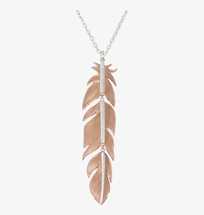 Loading Detail - Montana Silversmiths Necklace Womens Sunlit Phoenix, transparent png download