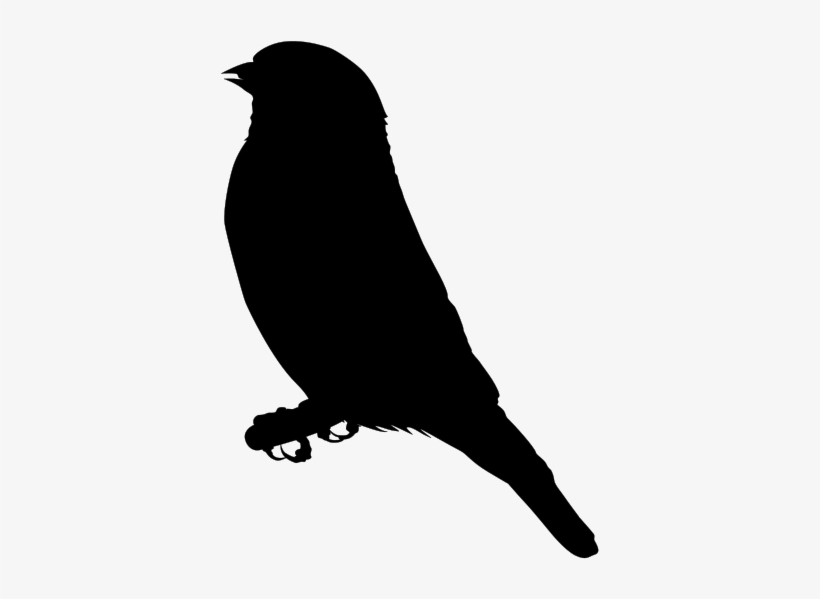 Gold Finch Png Clip Arts, transparent png download