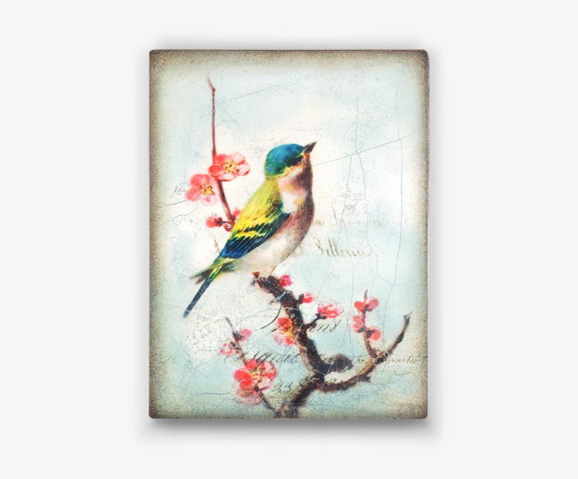Gallery - Vintage Pajaros Fondo, transparent png download