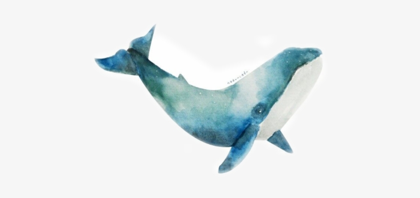 Report Abuse - Watercolour Whale, transparent png download