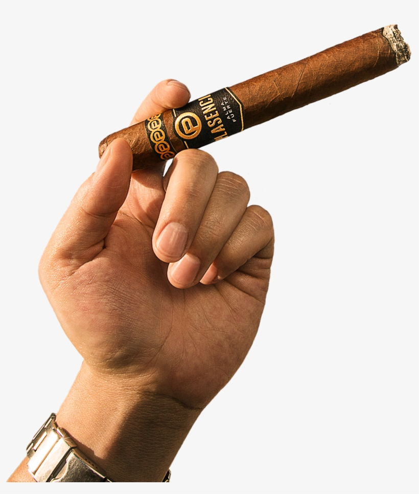 Home Plasencia Cigars Light - Cigar Hand, transparent png download