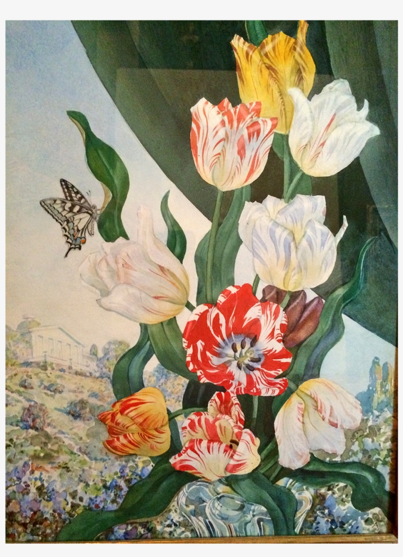 Andrey Avinoff Russian/american Artist Watercolor Tulips - Andrey Avinoff Artwork, transparent png download