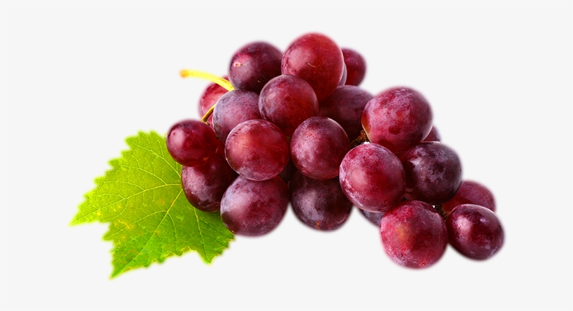 Red Grapes Png - Vine Of Red Grapes, transparent png download