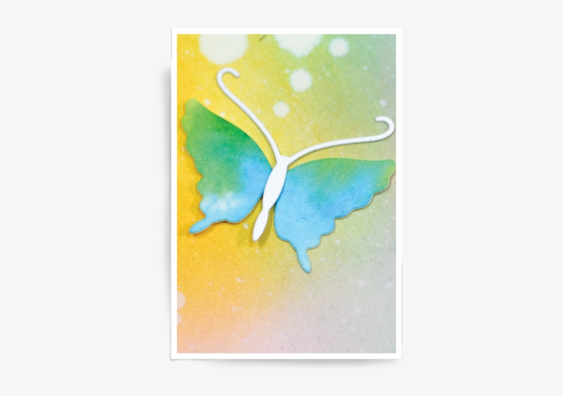 1 - Riodinidae, transparent png download