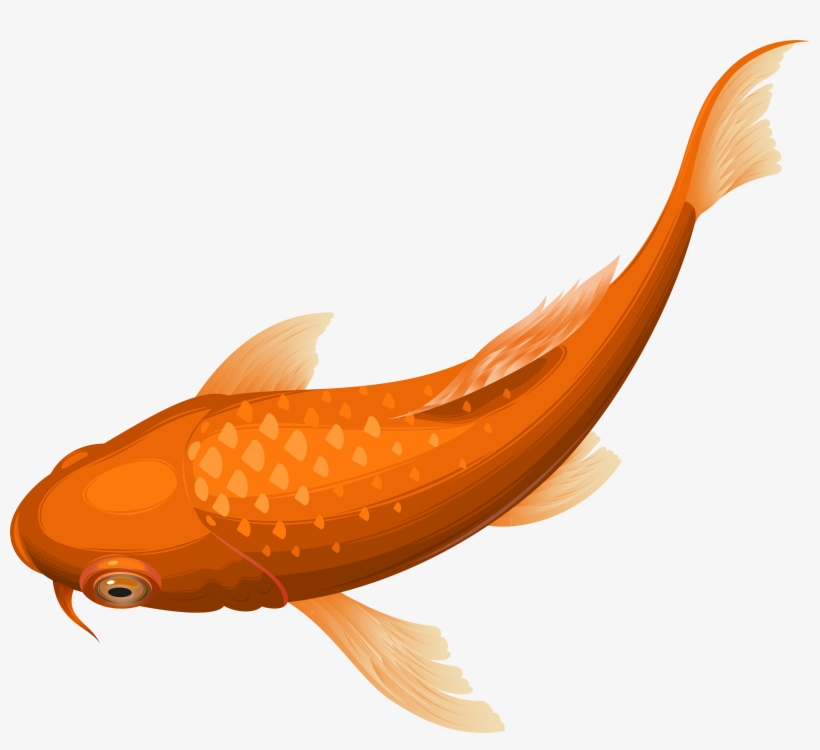 Fish Png, transparent png download