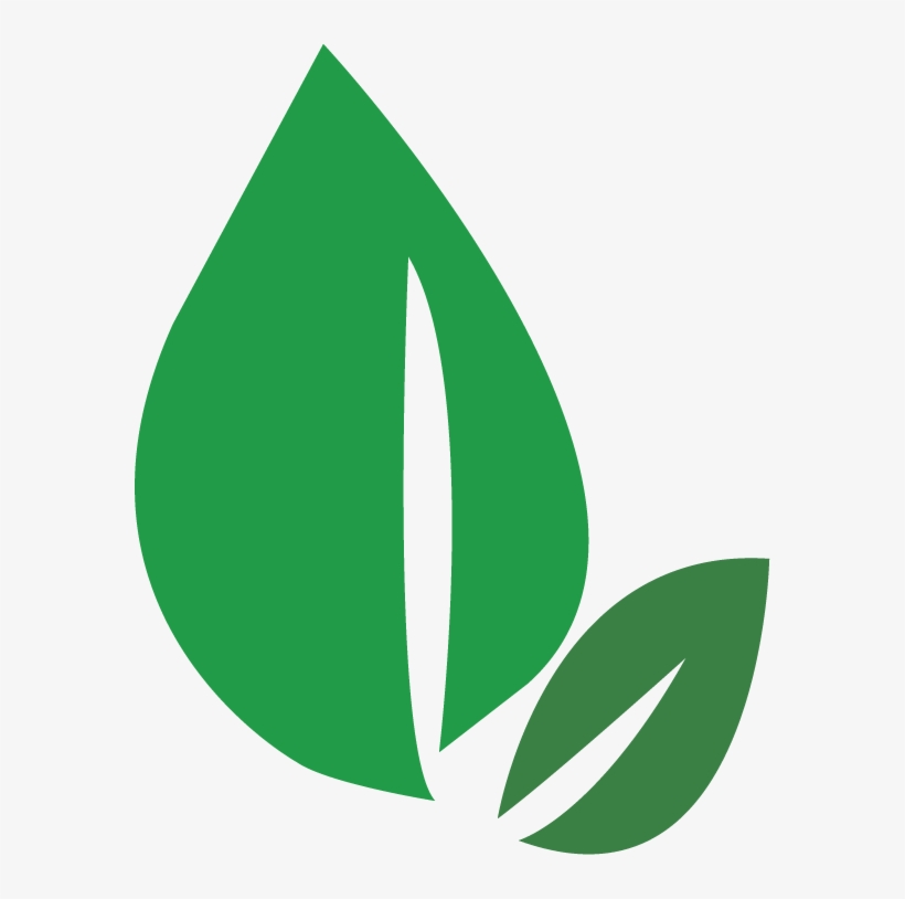 Green Leaves - Portable Network Graphics, transparent png download