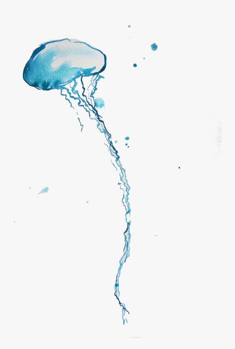 Blue Bottle Jellyfish Png Background - Portable Network Graphics, transparent png download