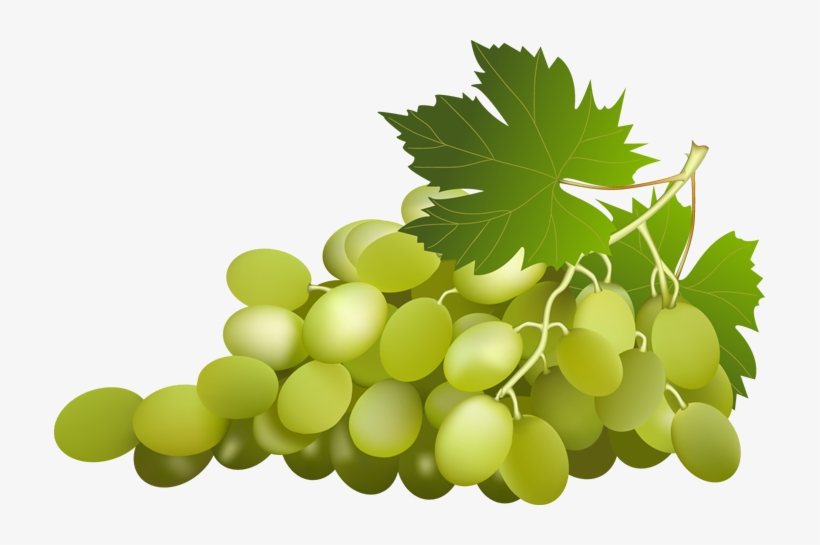 Grape Free Png Image, transparent png download