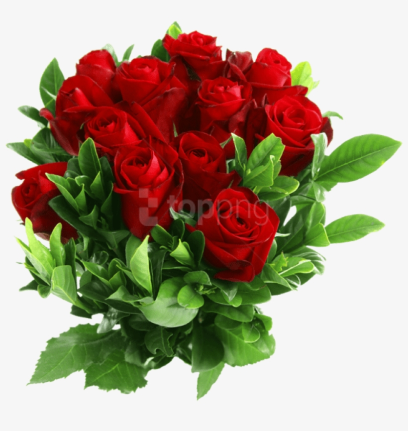 Red Rose Png Clipart - Flowers Red Rose Png, transparent png download