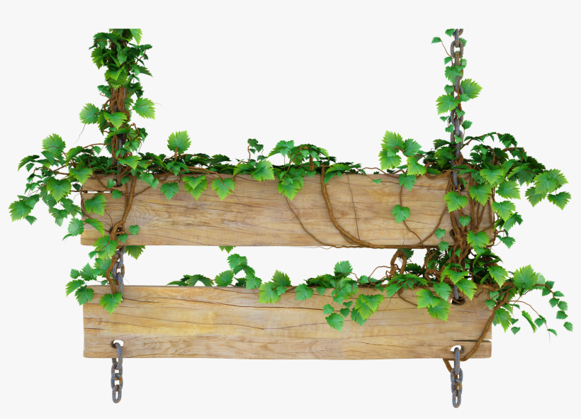 Wooden Blank - Wooden Sign With Vines, transparent png download