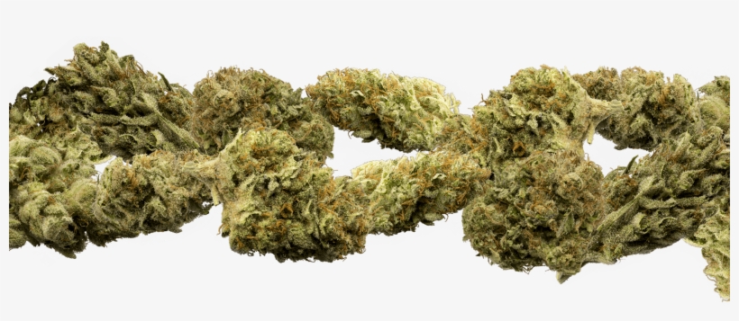 Of Marijuana Buds Group Buds Group Buds Group - Medical Cannabis, transparent png download