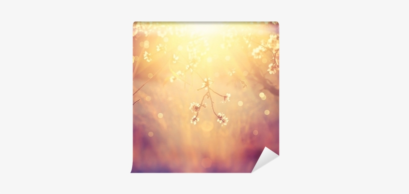 Beautiful Nature Scene With Blooming Tree And Sun Flare - Dayspring Card Thank You, transparent png download