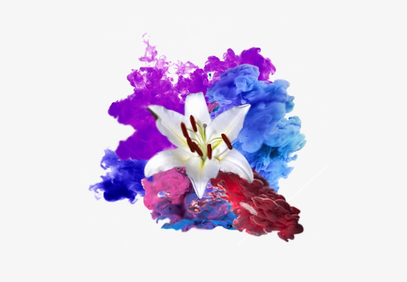 I Chose An Image Of A Lily Flower Because They Were - Artificial Flower, transparent png download