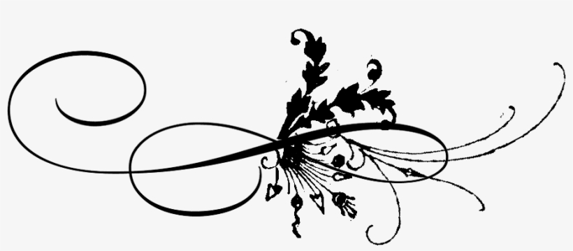 Svg Library Stock Elegant Black Page Dividerpng - Vector Graphics, transparent png download