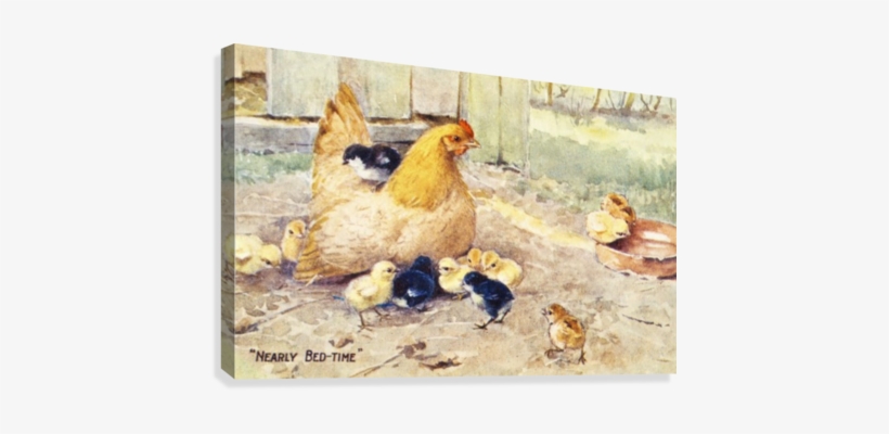Vintage Greeting Card With Illustration Of Hen And - Supplier Generic Vintage Greeting Card With Illustration, transparent png download