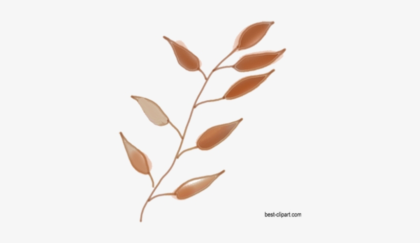 Watercolor Branch In Brown Color - Watercolor Painting, transparent png download