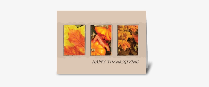 2801 Three Leave Thanksgiving Greeting Card - Thanksgiving With Fall Foliage And Pumpkins Card, transparent png download
