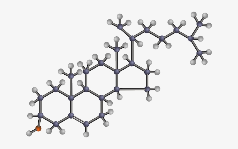 Could Too Much 'good' Hdl Cholesterol Be Bad, transparent png download