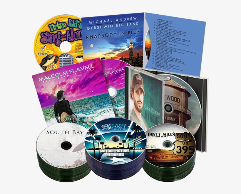 Bison Disc Has Been Meeting Customer Needs Nationwide - Studioav Ltd, transparent png download