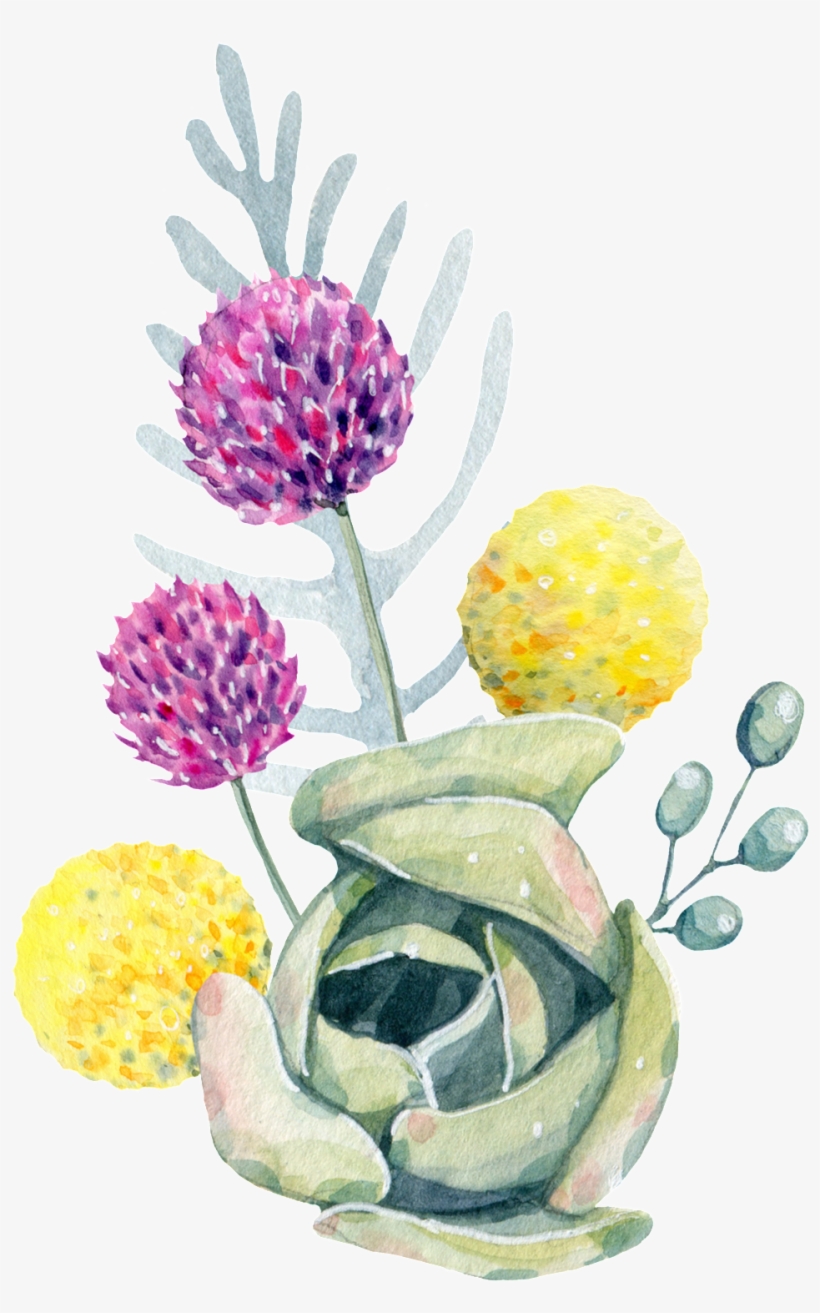 Hand Painted Yellow Onion Flower Png Transparent - Flower, transparent png download