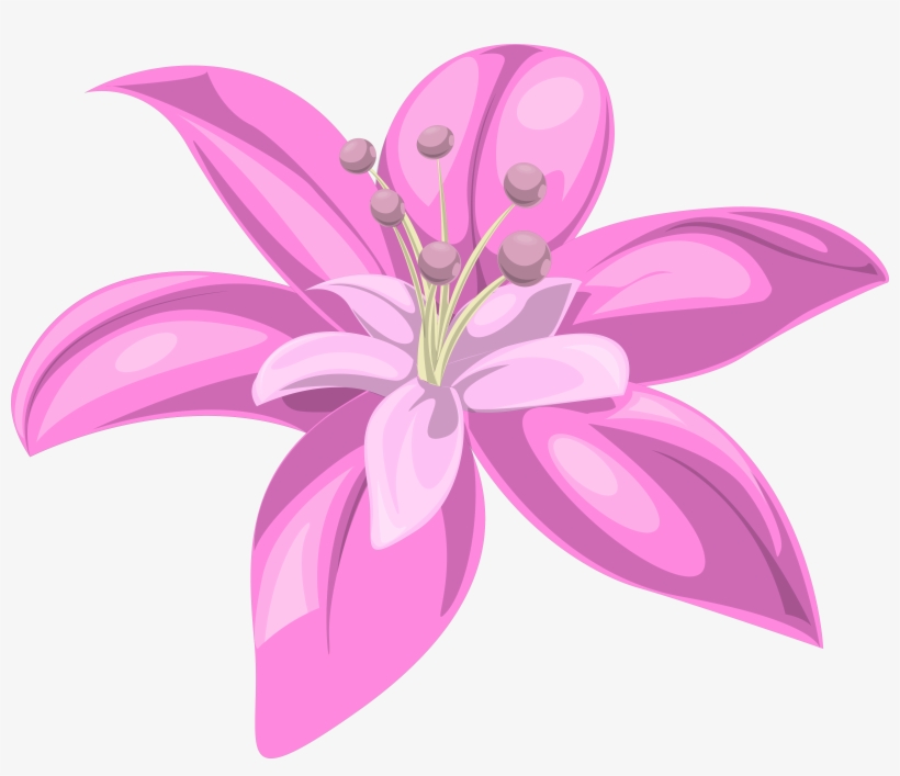 Purple Pink Flower Png, transparent png download