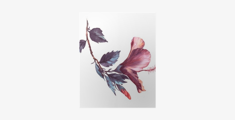 Hand-drawn Watercolor Floral Illustration Of The Tender - Goodmoodcases Plastic Hard Case Cover For Macbook Pro, transparent png download