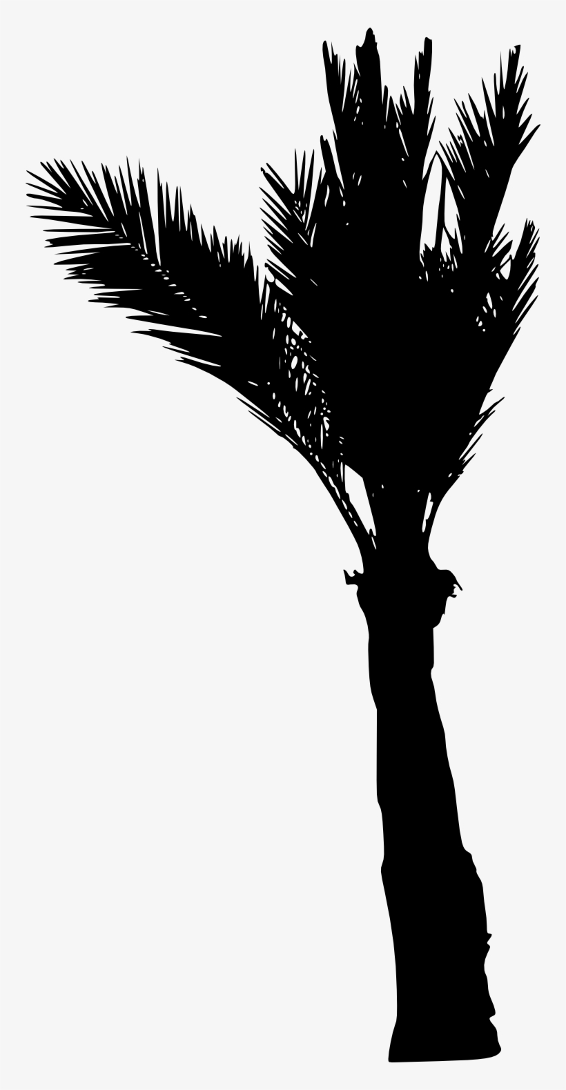 Free Png Palm Tree Silhouette Png Images Transparent - Portable Network Graphics, transparent png download