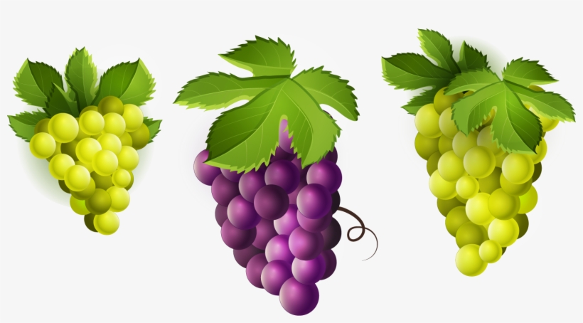 Grape Clipart Png Image - Grape, transparent png download